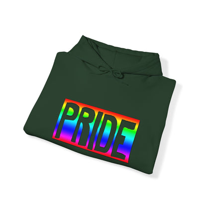 Glorious Diversity Pride hoodie