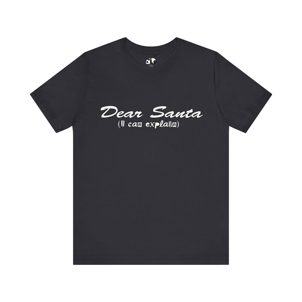 Dear Santa, I Can Explain Tee