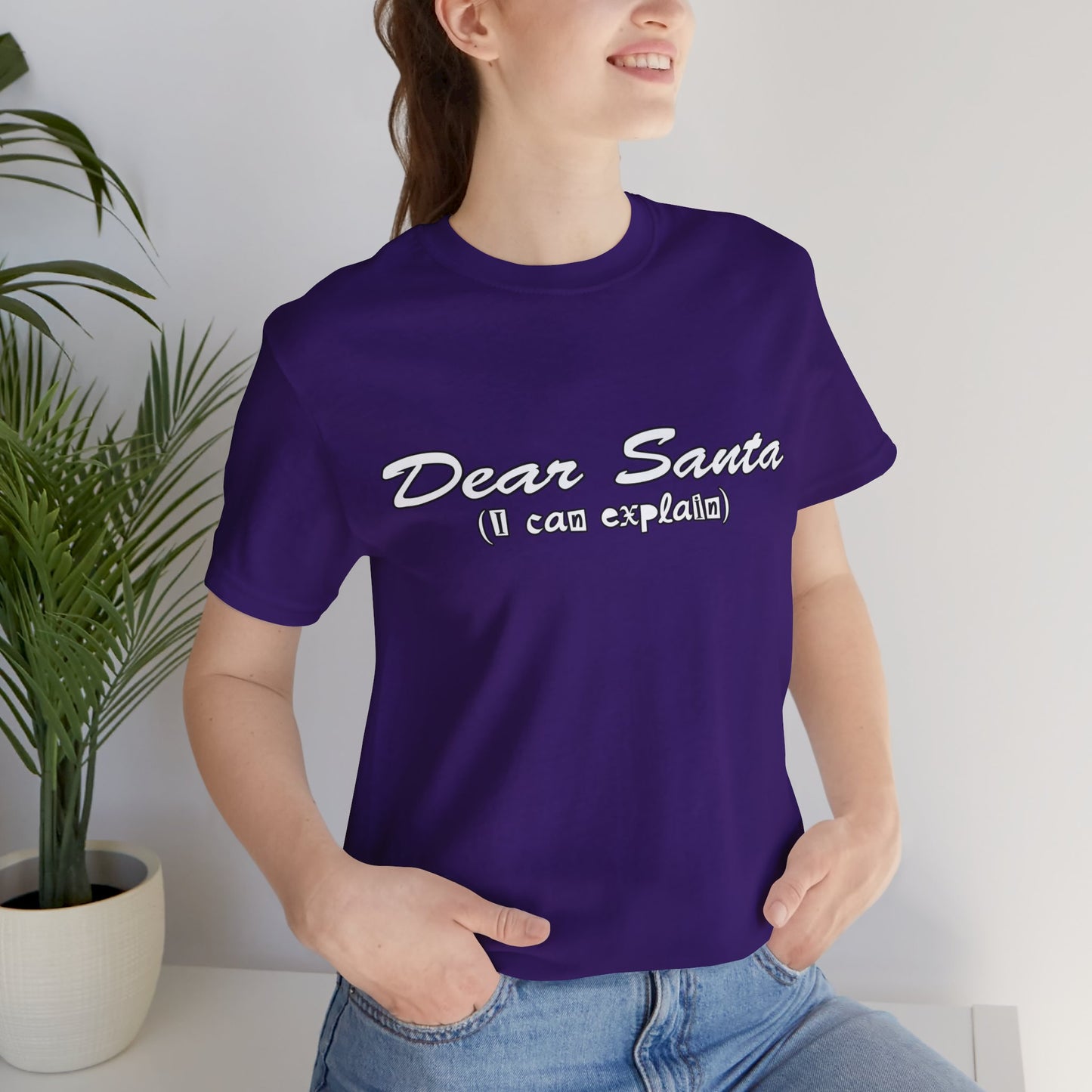 Dear Santa, I Can Explain Tee